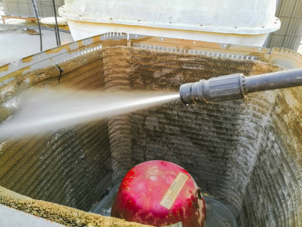 Best Air Duct Mold Removal  in Moweaqua, IL