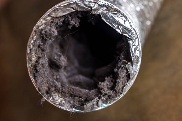 Best HVAC Air Duct Cleaning  in Moweaqua, IL