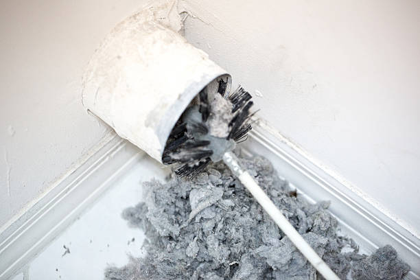 Best Home Air Vent Cleaning  in Moweaqua, IL